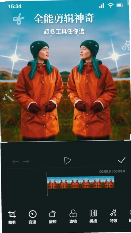 银杏视频预览图