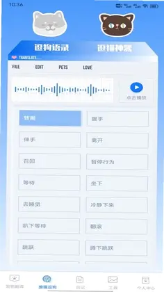����è�伫�ٰ�appԤ��ͼ
