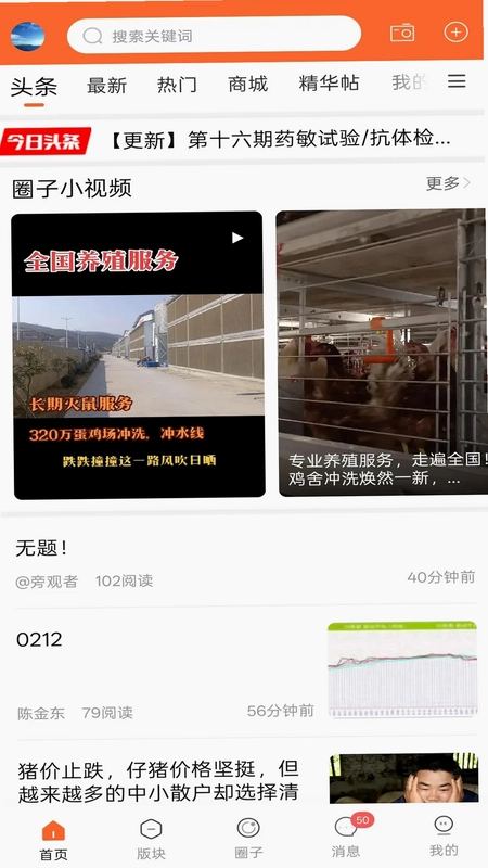 鸡病专业网论坛预览图