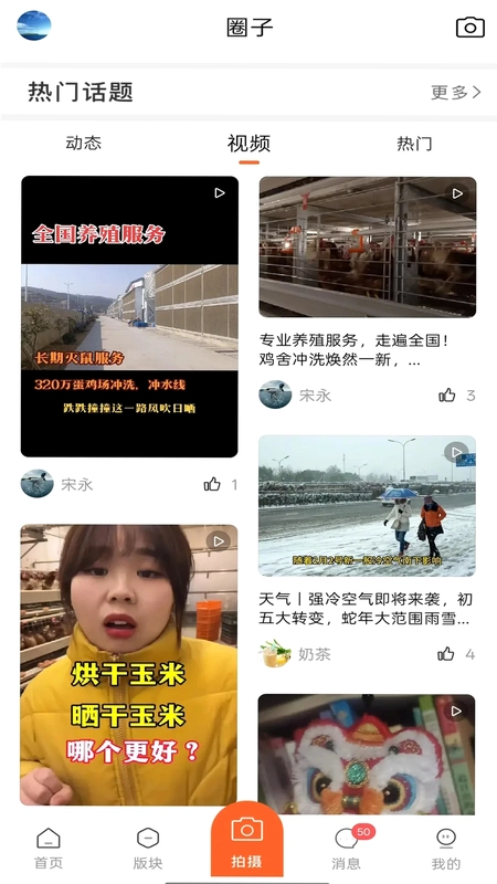 鸡病专业网论坛预览图