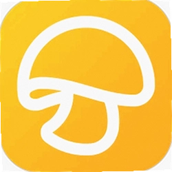 蘑菇丁app