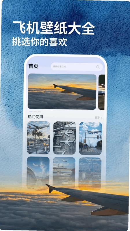 飞机模拟高手最新版预览图
