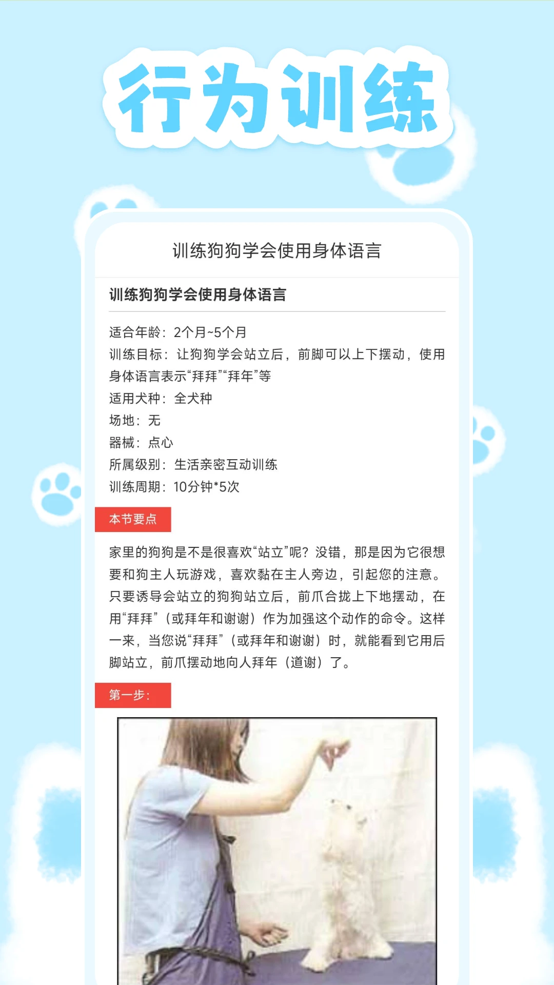 动物对话翻译器使用场景