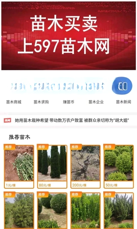 597��ľ���ٷ���Ԥ��ͼ