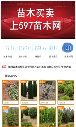 597��ľ���ٷ���Ԥ��ͼ