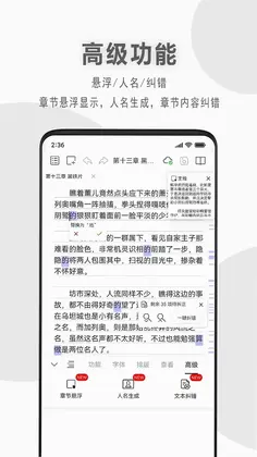 码客写作预览图