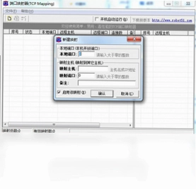 端口映射器(tcp mapping)预览图