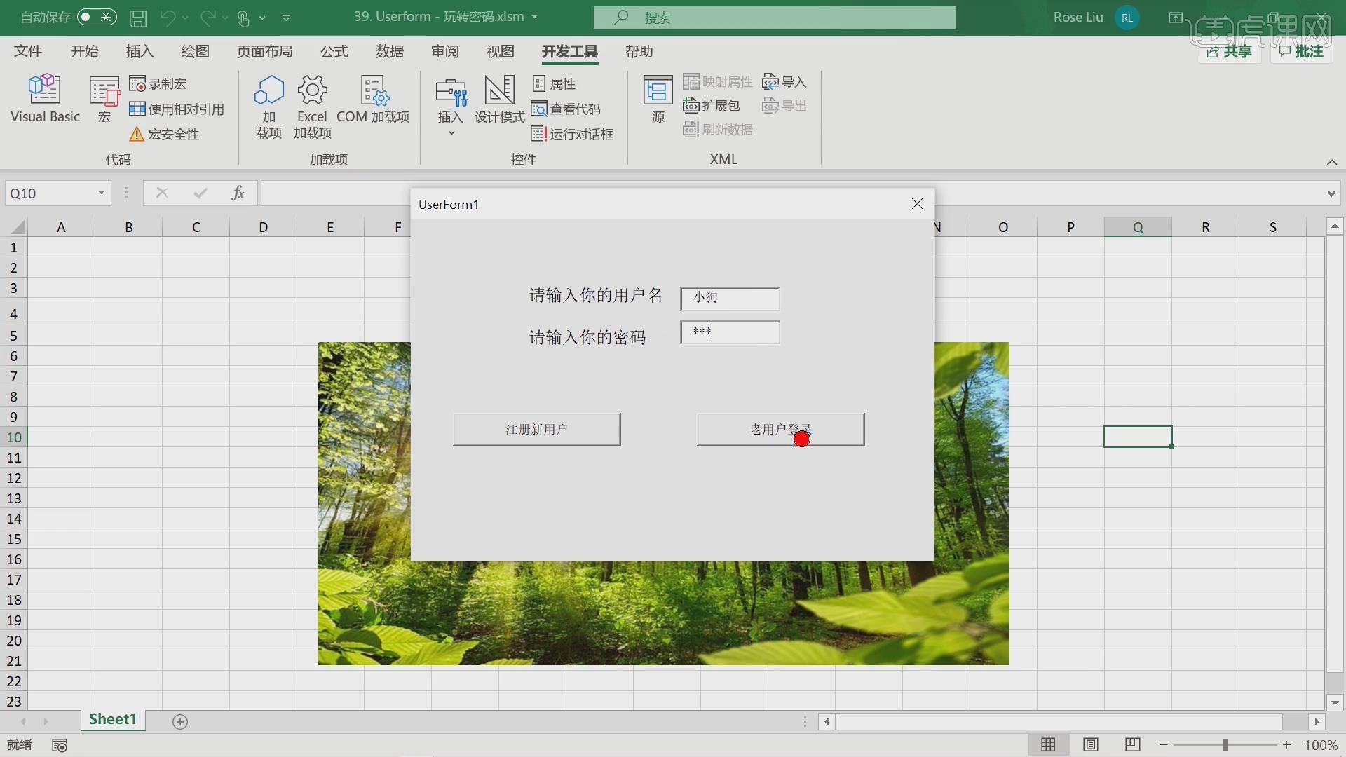 VBA Password Bypasser ����ʹ�ý����ͼ