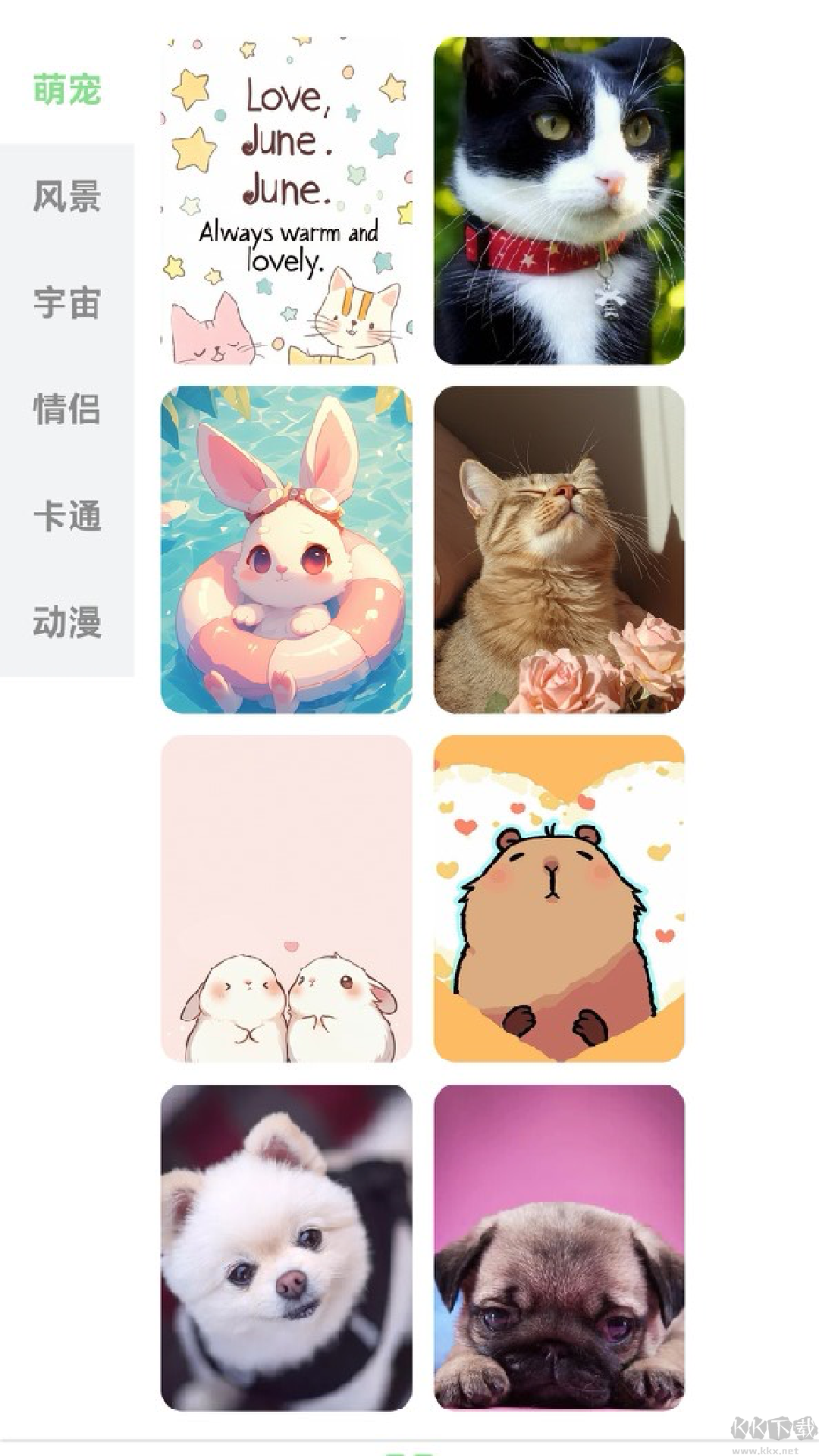 每日淘壁纸高清壁纸分辨率查看方法
