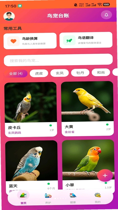 智鸟先飞预览图