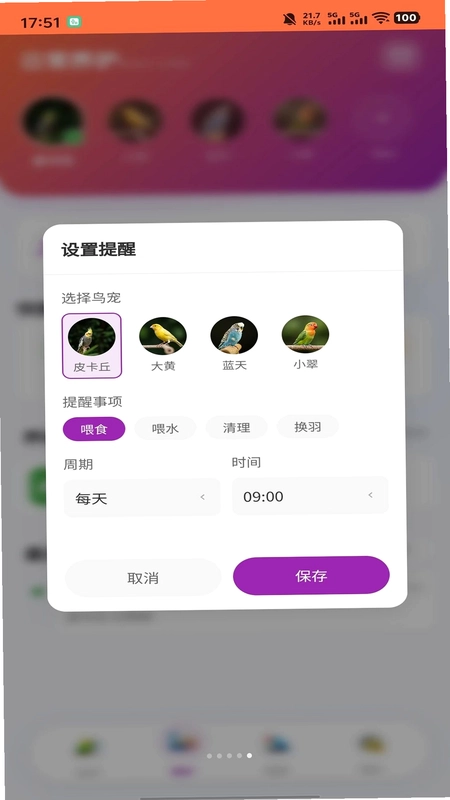 智鸟先飞预览图