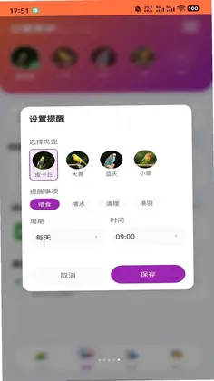 智鸟先飞预览图