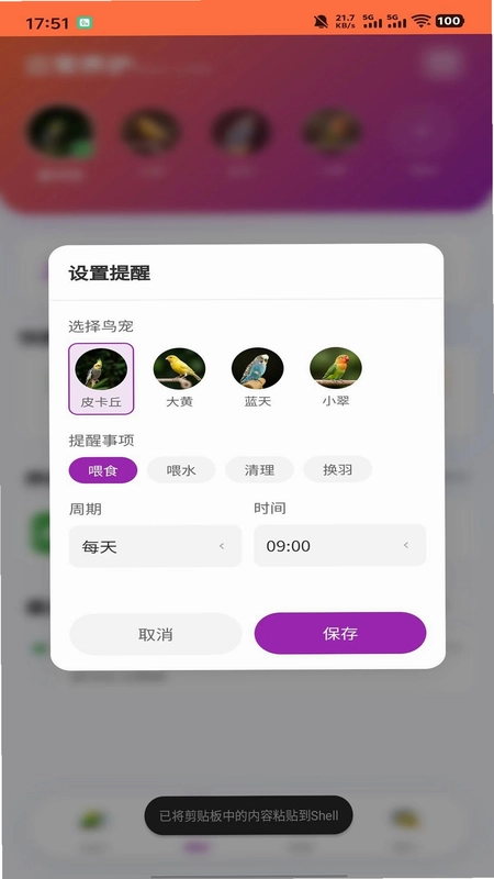 智鸟先飞预览图