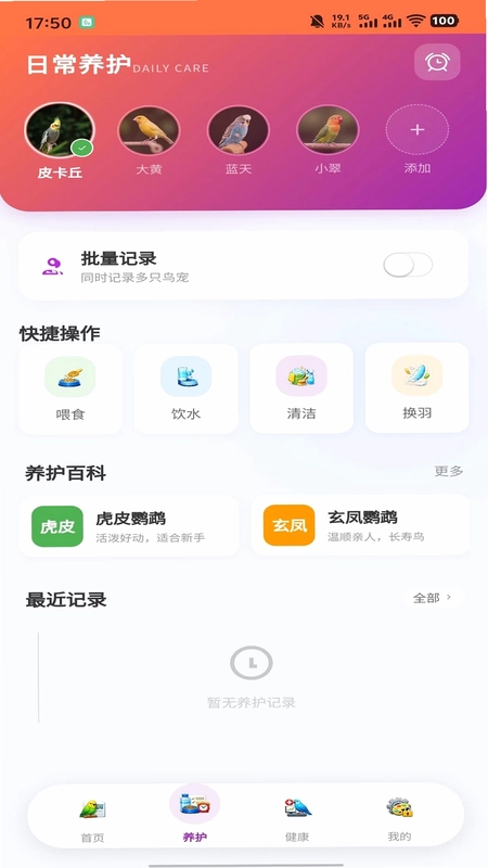 智鸟先飞预览图