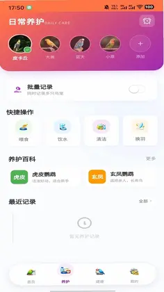 智鸟先飞预览图