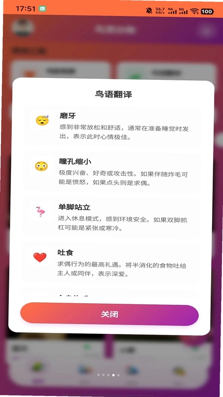 智鸟先飞预览图