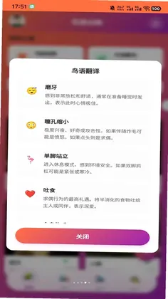 智鸟先飞预览图