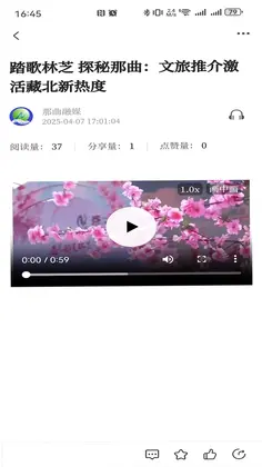 ������ýԤ��ͼ