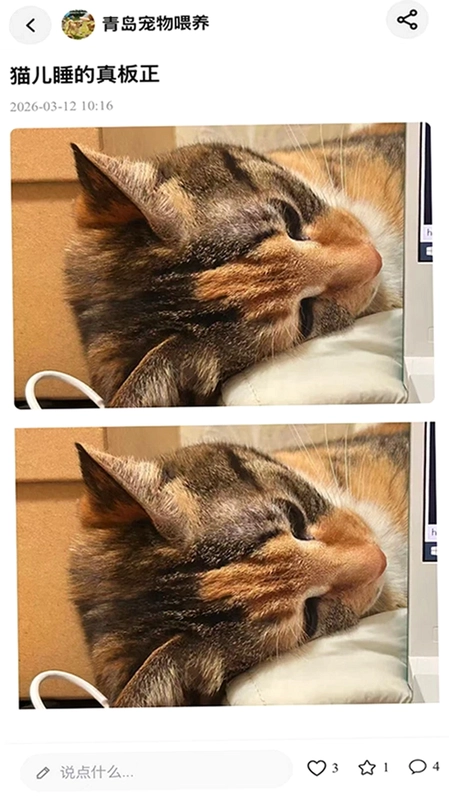 PetPandora宠物社区预览图