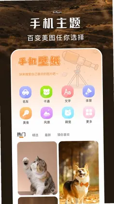 主题盒预览图
