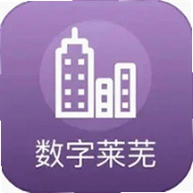 数字莱芜