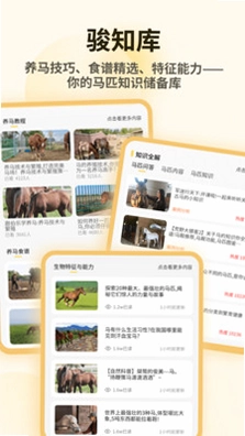 小马模拟器助手预览图