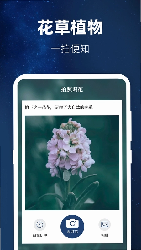 验钞工具Pro标准手电筒预览图