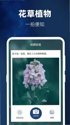 �鳮����Pro��׼�ֵ�ͲԤ��ͼ