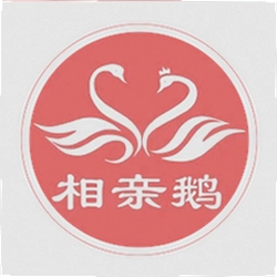 相亲鹅