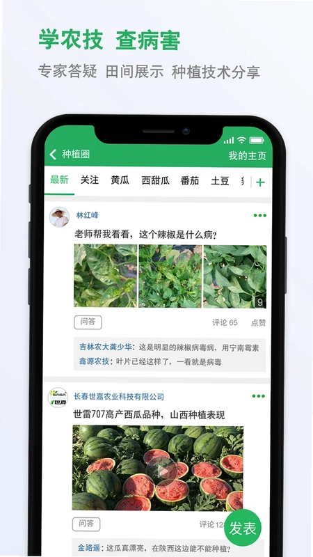 种子库预览图