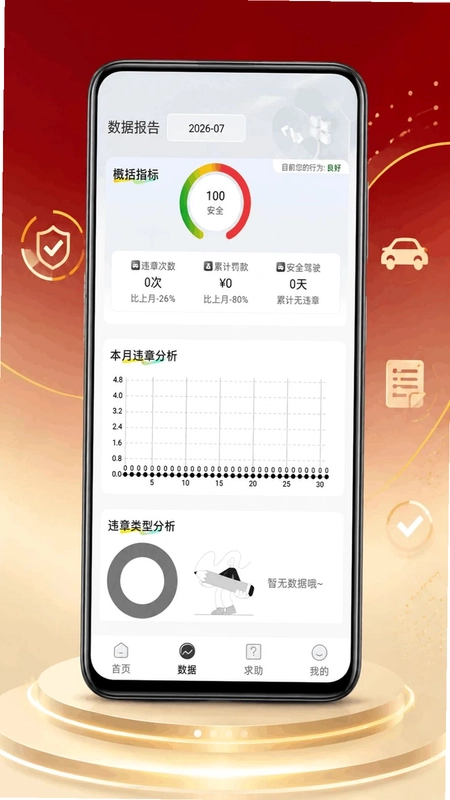 车辆违章记录预览图