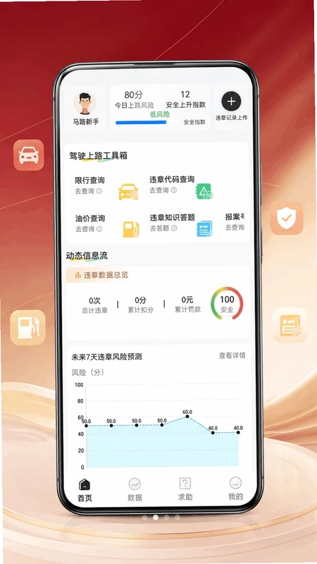 车辆违章记录预览图