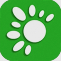 千花伴app