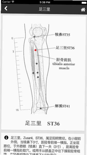 中医辨证云预览图