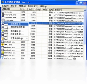 长生进程管理器软件预览图