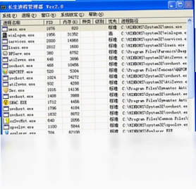 长生进程管理器软件预览图