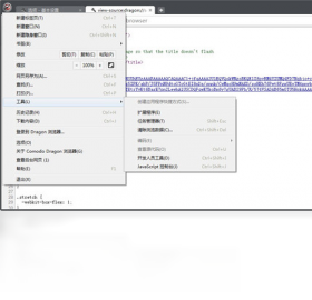 Comodo Dragon(Comodo龙安全浏览器)隐私设置