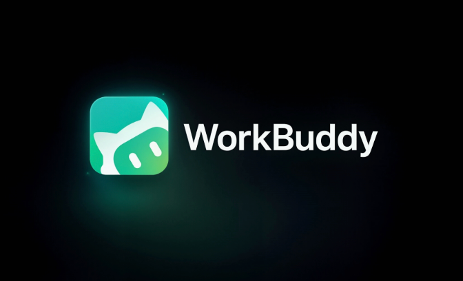 workbudy 收费 版本对比 价格表