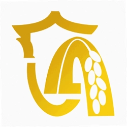 新隆安