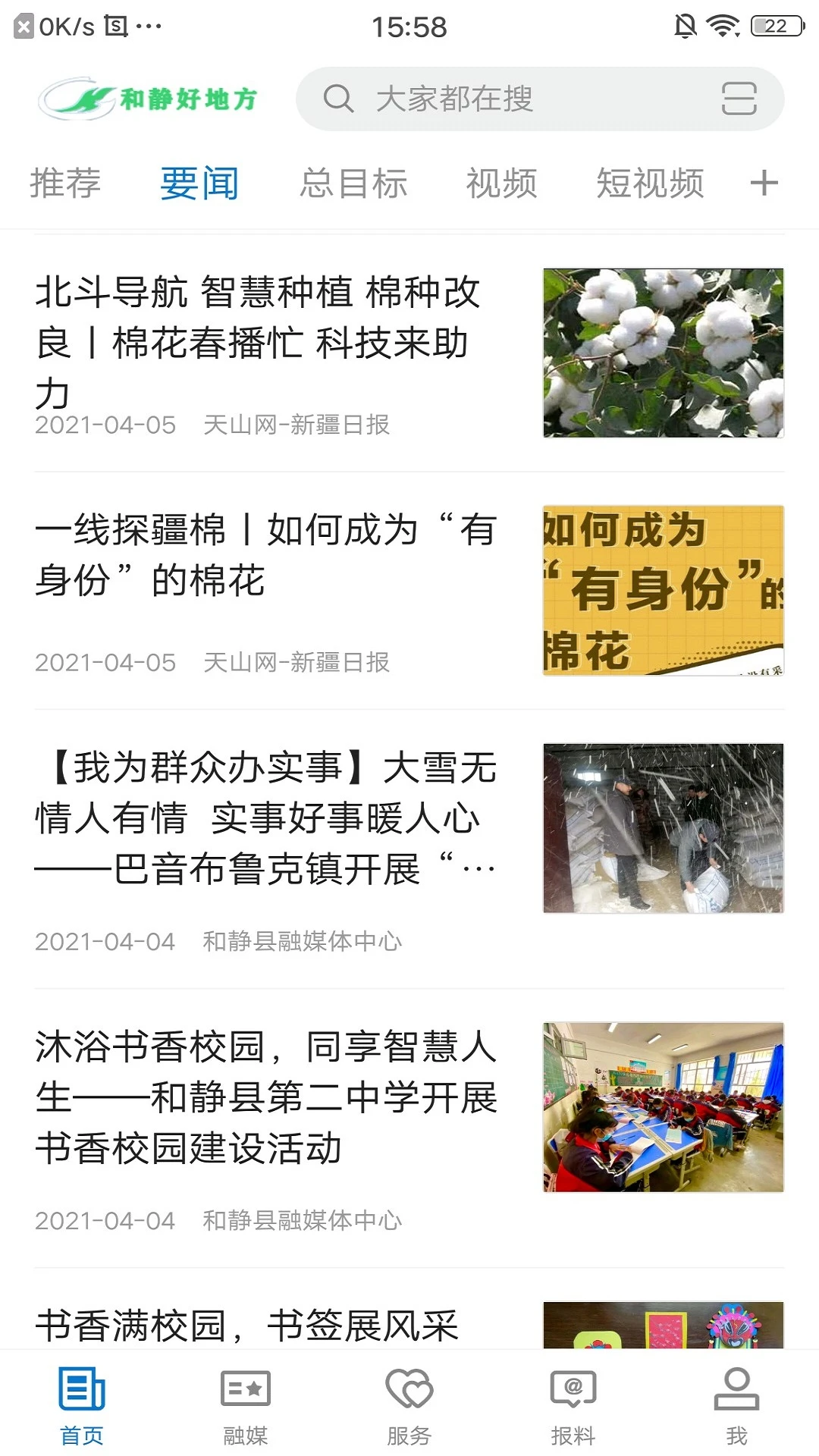 和静好地方政务服务界面