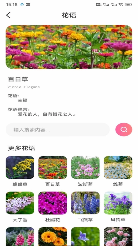 优料精选预览图