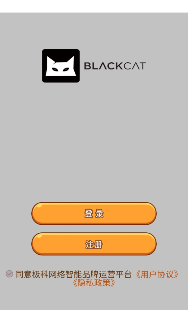报表导出操作演示