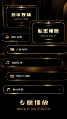 静影隐私播放器预览图