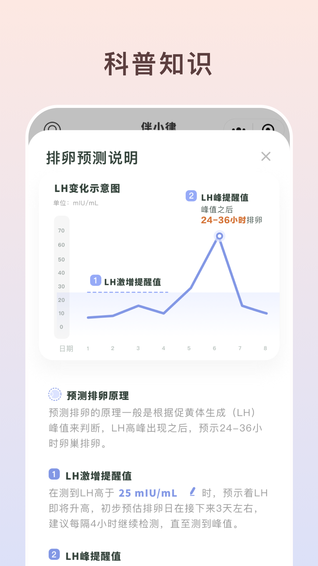 伴小律界面预览