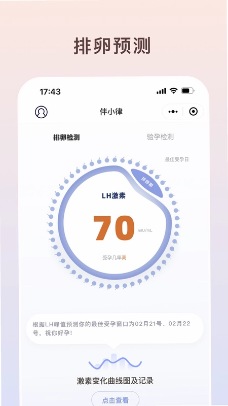 伴小律预览图