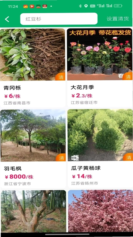 春种最新版预览图
