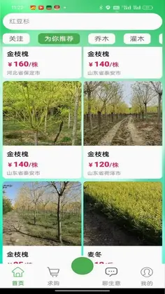 春种最新版预览图