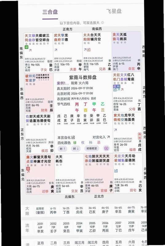 紫薇斗数排盘预览图