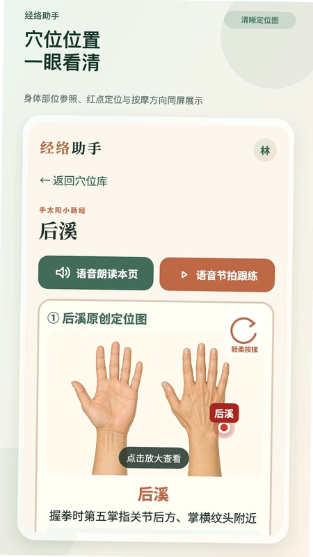 经络助手预览图