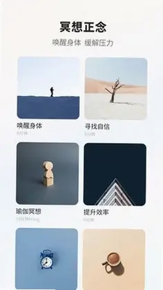 梵花田预览图